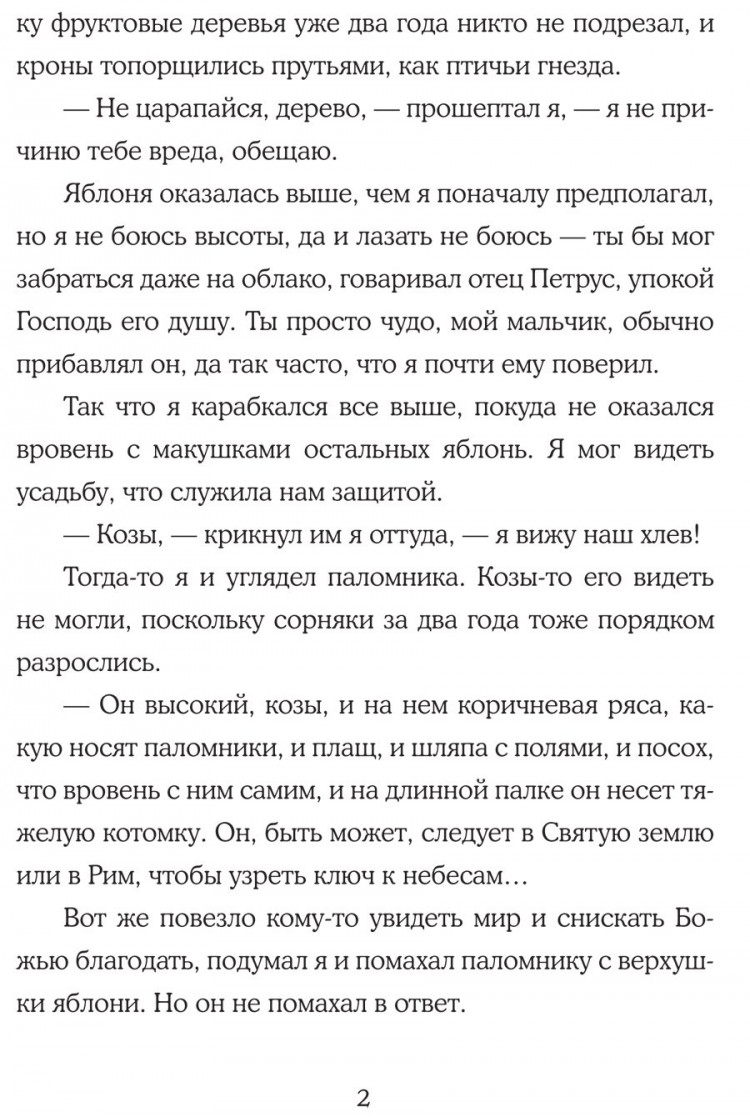 Мёрдок Кэтрин Гилберт. Мальчик и его книга
