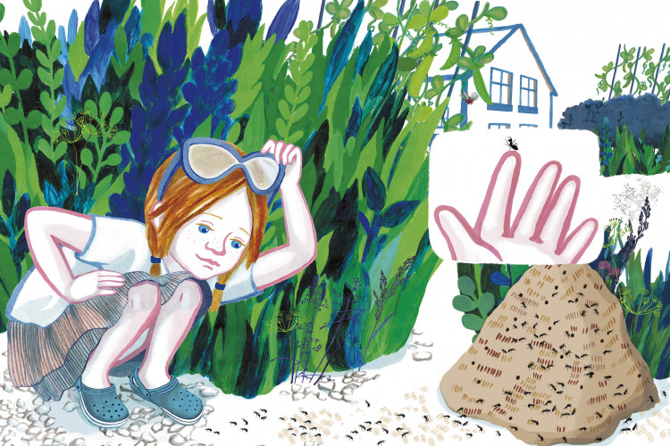 Ухова Татьяна. Кузнечик