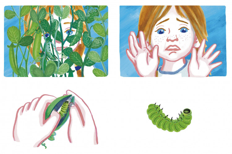 Ухова Татьяна. Кузнечик