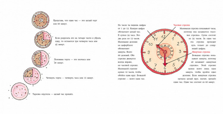 Шнайдер Лиана. Конни учится определять время