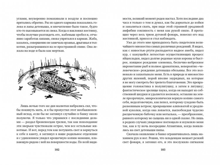 Даррелл Джеральд. Три билета до Эдвенчер. Под пологом пьяного леса