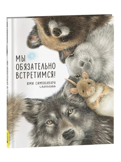 Симокавара Юми. Мы обязательно встретимся!