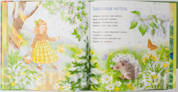 Серова Екатерина. Только радость. Стихи