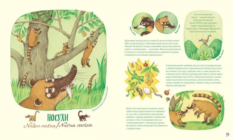 Анлауф Лена. Невероятные носы