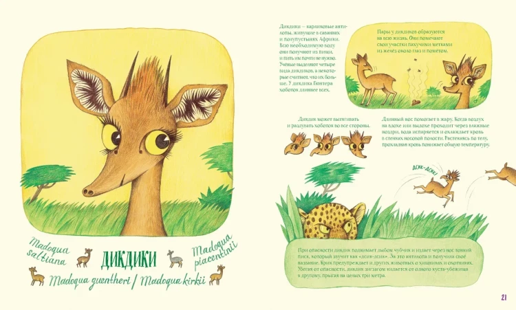 Анлауф Лена. Невероятные носы