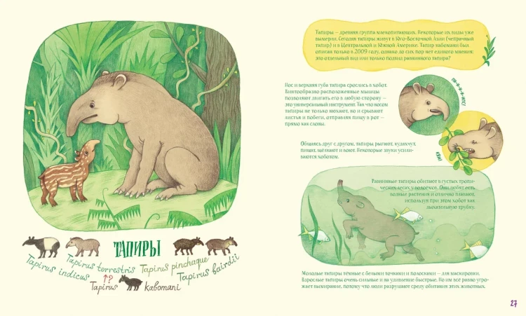 Анлауф Лена. Невероятные носы