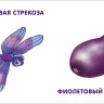 Мои первые цвета