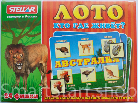 Лото &quot;Кто где живёт?&quot;