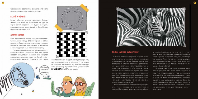 Кравченко Ася. Глазам не верю