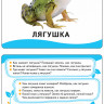 Животные. Развивающие карточки