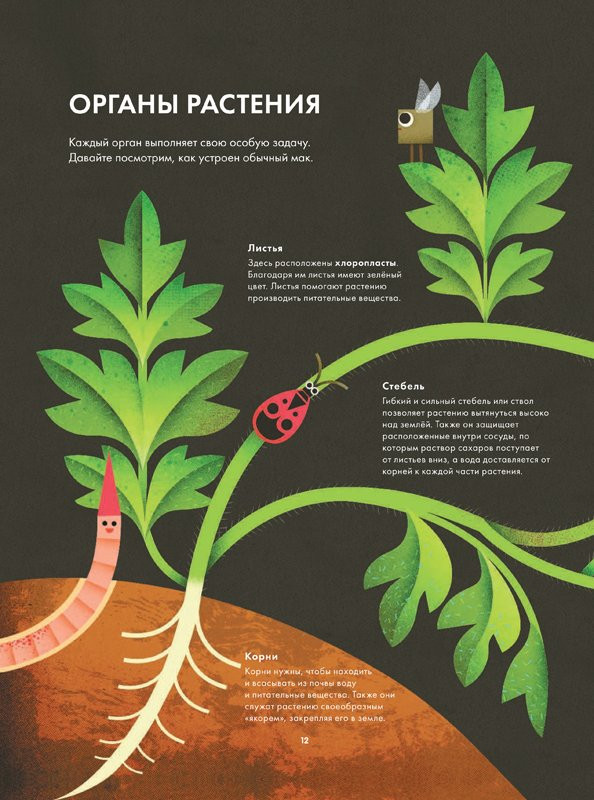 Холланд Майкл. Солнечный свет на завтрак