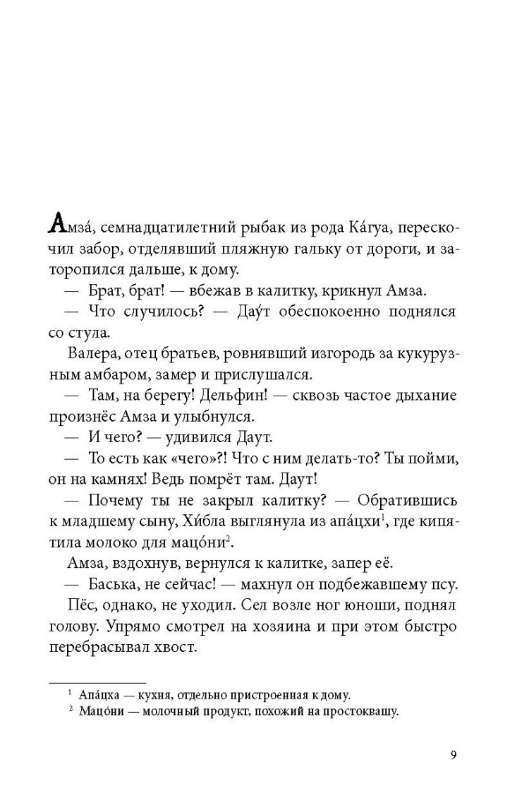 Рудашевский Евгений. Брат мой Бзоу