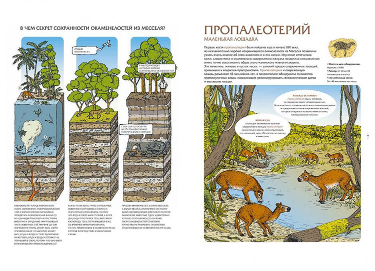 Лавердан Дамьен. Животные затерянного мира