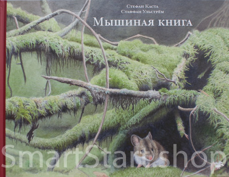Каста Стефан. Мышиная книга