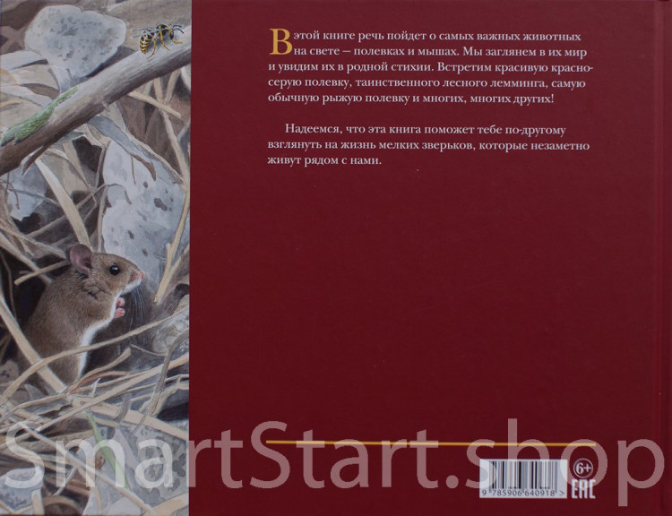 Каста Стефан. Мышиная книга