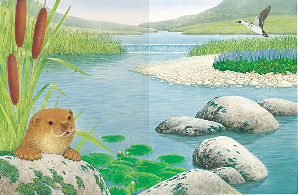 Чудо-наклейки. Кто живет в воде