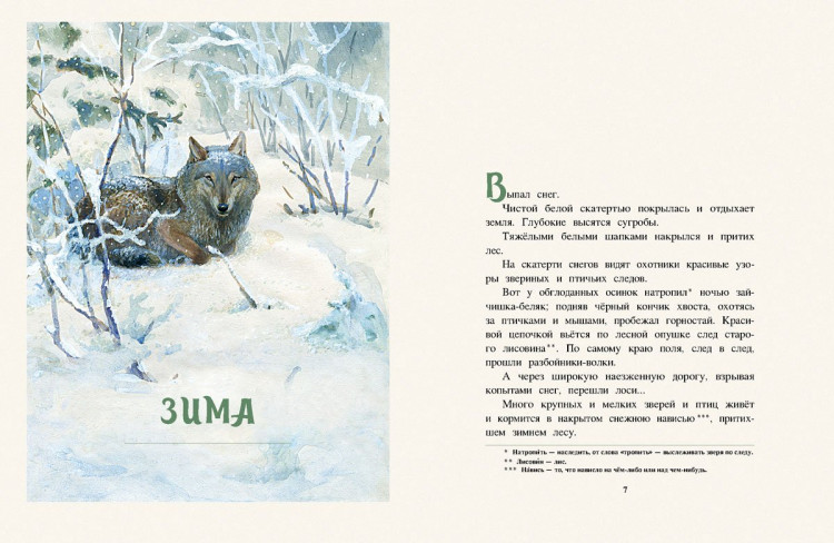 Соколов-Микитов Иван. Год в лесу