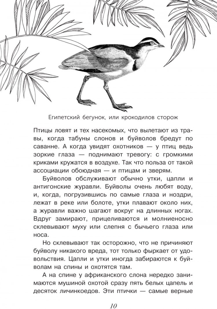 Акимушкин Игорь. И у крокодила есть друзья