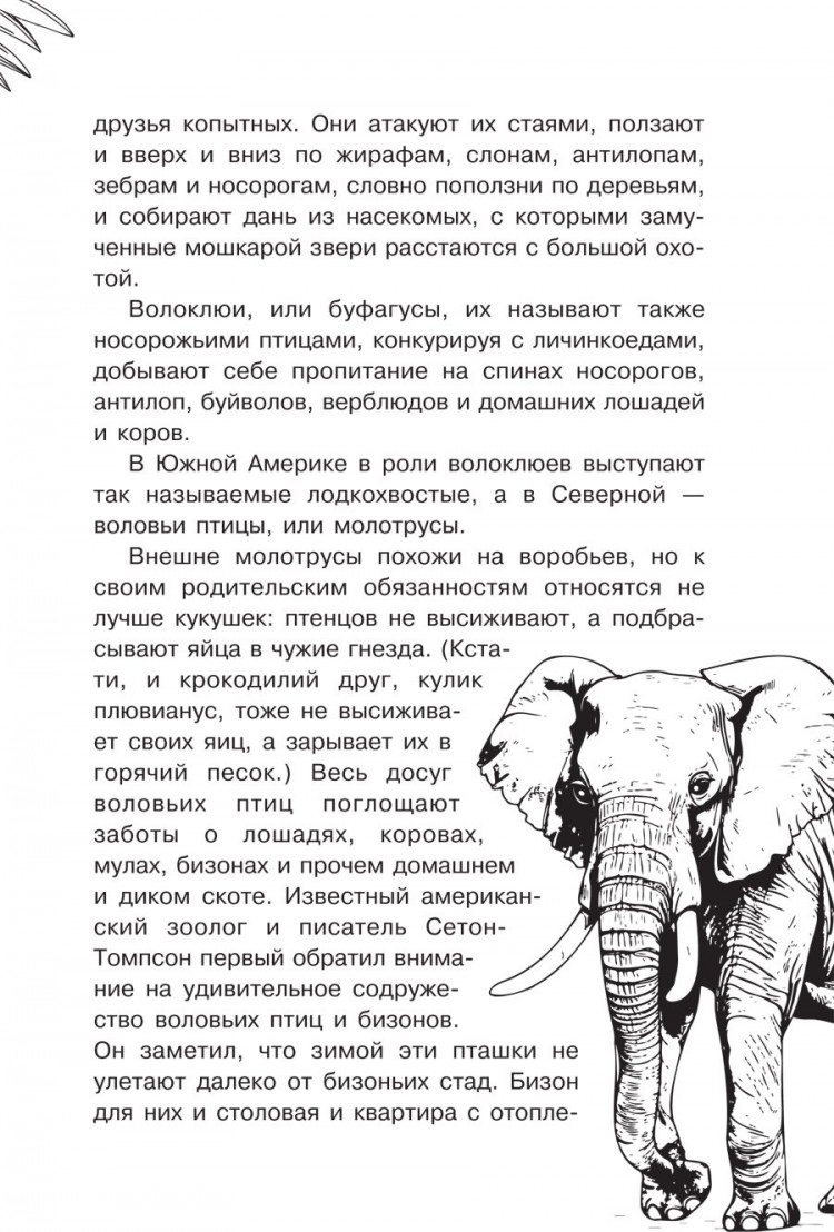Акимушкин Игорь. И у крокодила есть друзья