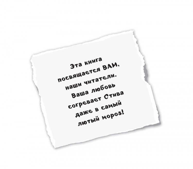 Дневник Стива. Книга 8. Холодные игры