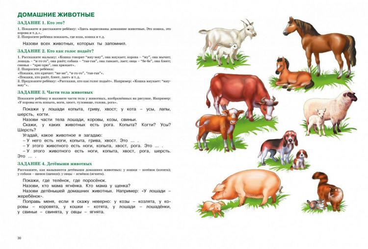 Косинова Елена. Говорим правильно. Уроки с логопедом