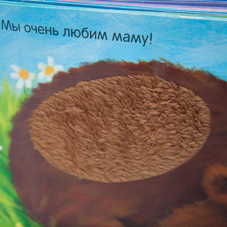 Потрогай и погладь. Кого любят медвежата?