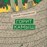 Рудашевский Евгений. Горит камыш