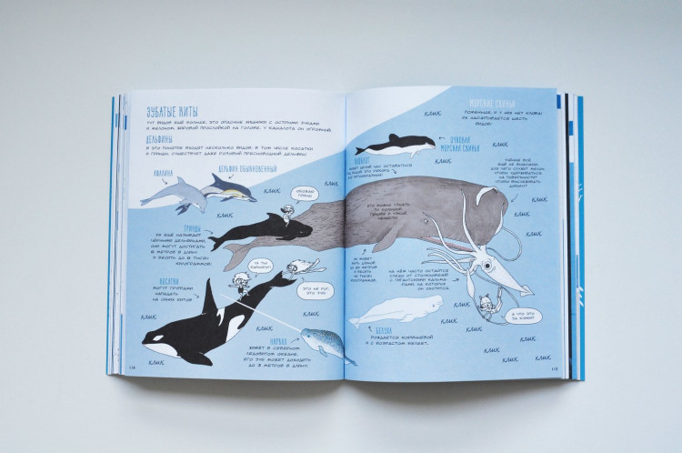 Альмерас Гаэль. Узнать за выходные океан