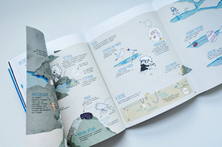 Альмерас Гаэль. Узнать за выходные океан