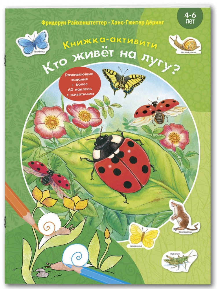 Райхенштеттер Фридерун. Кто живёт на лугу? Книжка-активити