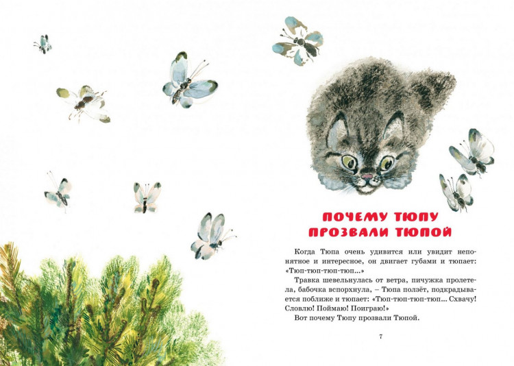 Чарушин Евгений. Друзья