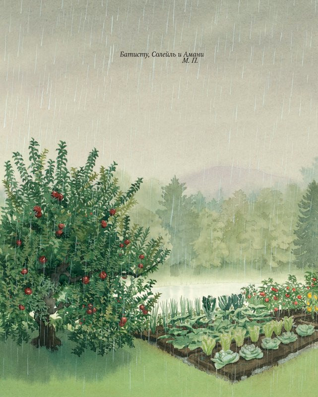 Пол Миранда. Вода, вода... Книга о круговороте воды