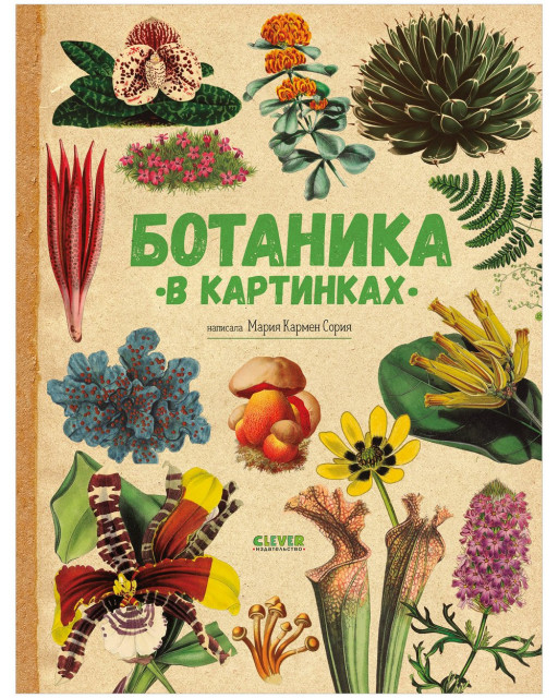 Сория Кармен. Удивительные энциклопедии. Ботаника в картинках