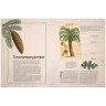 Сория Кармен. Удивительные энциклопедии. Ботаника в картинках