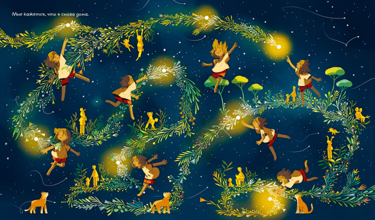 Тодд-Стентон Джо. Комета