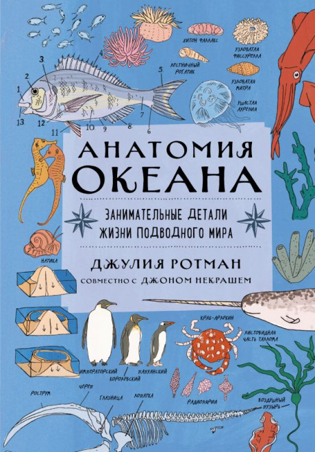 Ротман Джулия. Анатомия океана. Занимательные детали жизни подводного мира