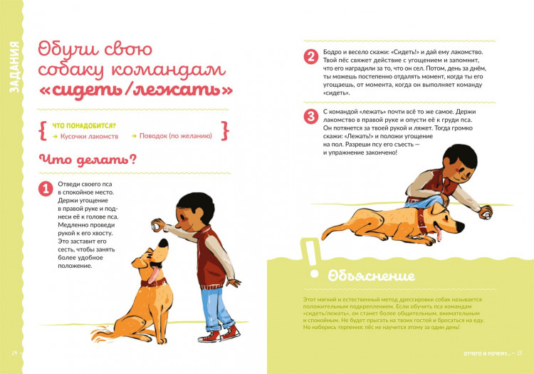 Вейнантс Эмили. Могу ли я завести домашнее животное?