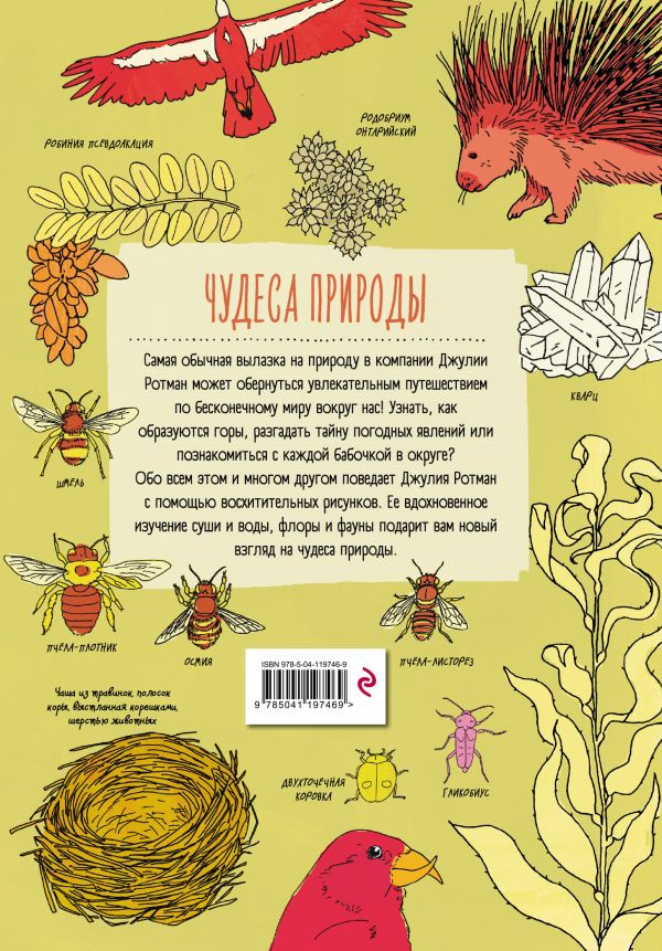 Ротман Джулия. Анатомия природы. Занимательные детали мира природы