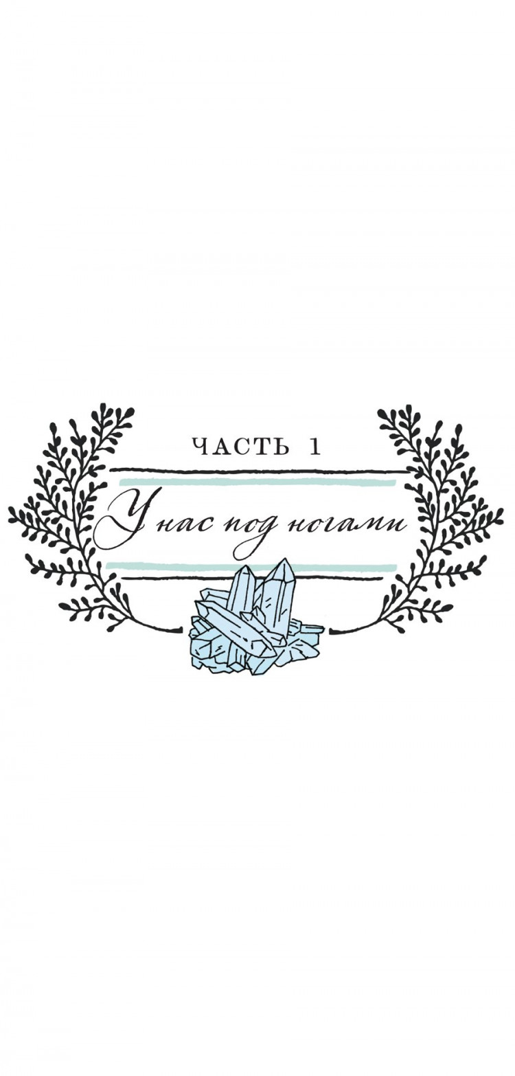Ротман Джулия. Анатомия природы. Занимательные детали мира природы