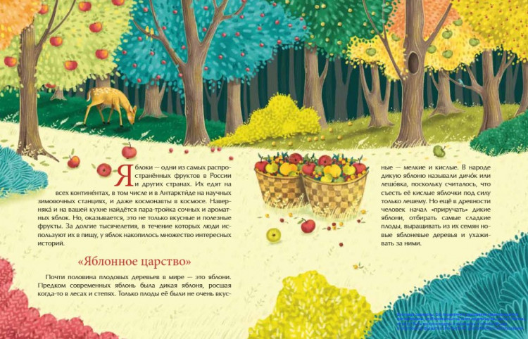 Максимова Елена. Эх, яблочко! Неизвестные истории известного фрукта