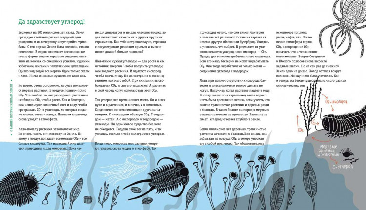 Тер Хорст Марк. Пальмы на Северном полюсе