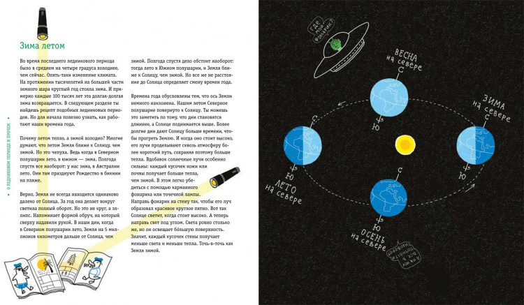 Тер Хорст Марк. Пальмы на Северном полюсе