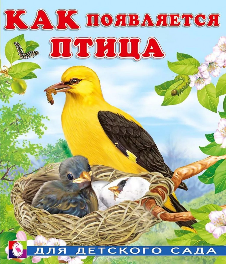 Гурина Ирина. Как появляется птица