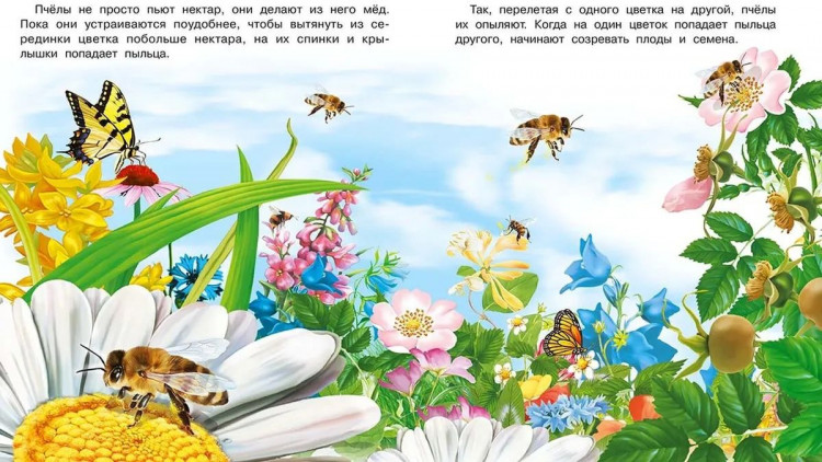 Гурина Ирина. Как появляется цветок