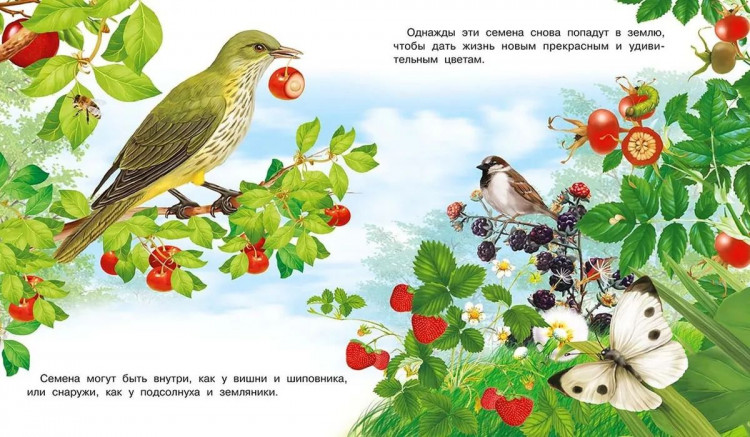 Гурина Ирина. Как появляется цветок