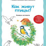 Райхенштеттер Фридерун. Как живут птицы? Книжка-активити