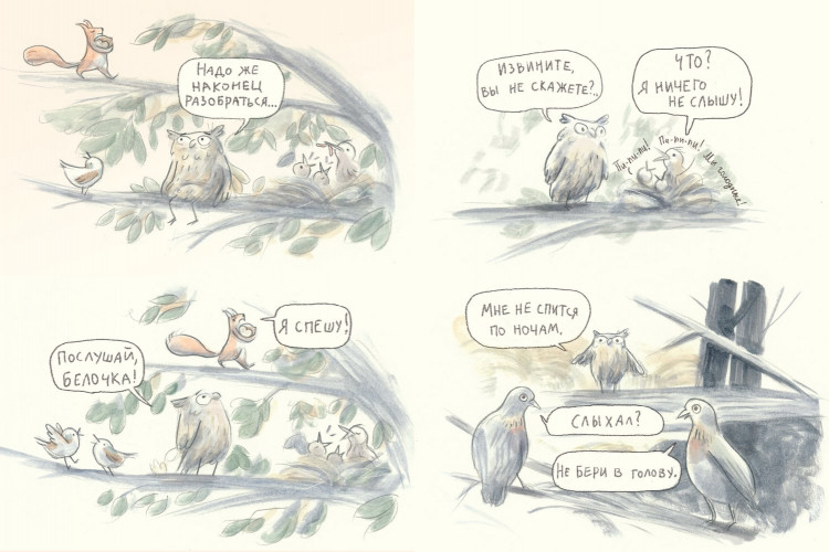 Сова Маржена. Удивленная сова