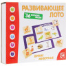 Развивающее лото 
