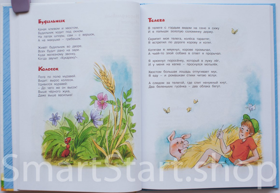 большая книга малыша росмэн. в степанов стихи. большая книга сказок и стихов. сутеев большая книга сказок и стихов. сутеева книга.