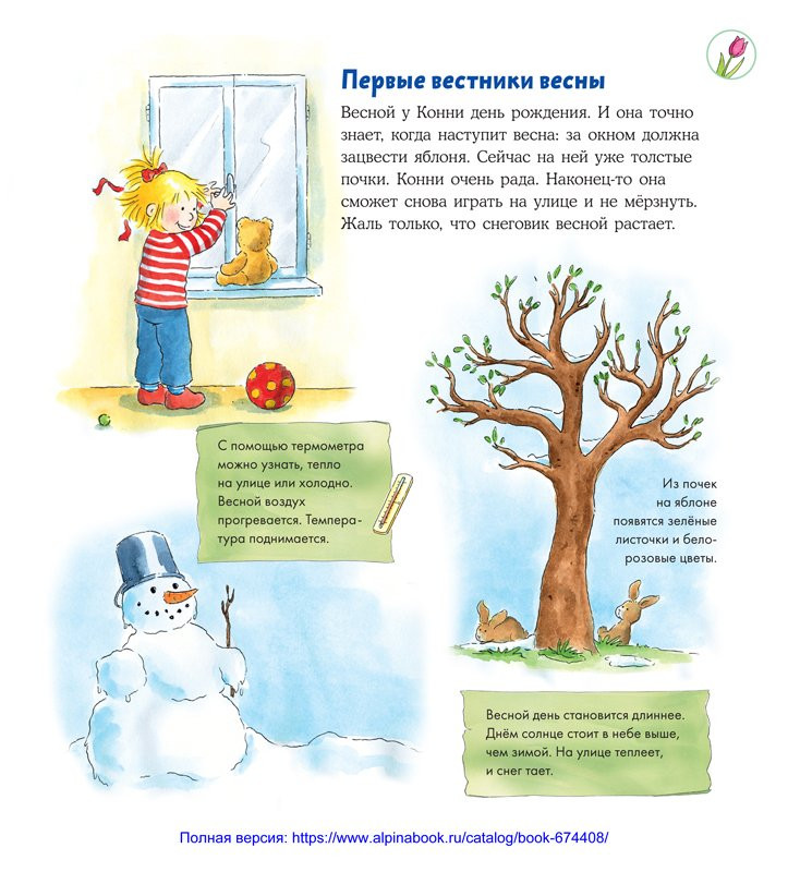 Шнайдер Лиана. Времена года с Конни. Книжка-картонка